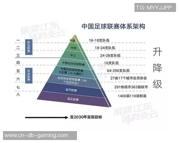 中国足球甲级联赛新赛季展望球队实力对比与前景分析