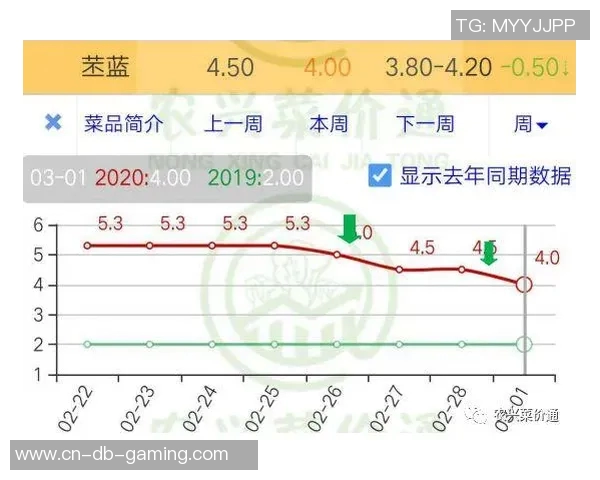 足球鞋价格揭秘不同品牌与类型的市场行情分析